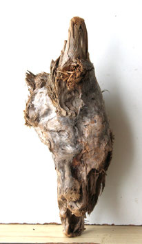 Treibholz Schwemmholz Driftwood  1 knorrige Skulptur  Dekoration  Aquarium Terrarium 43 cm   (SA891)