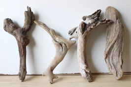 Treibholz Schwemmholz Driftwood 4  Hölzer Dekoration Garten Terrarium 29 cm - 35 cm **97** (TR1108)