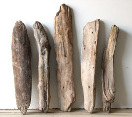 Treibholz Schwemmholz Driftwood 5  Hölzer Dekoration Terrarium 40 cm - 50 cm **E49** (TR1270)