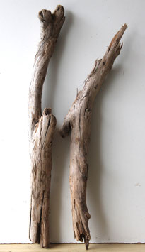 Treibholz Schwemmholz Driftwood  2 XL Hölzer  Dekoration Garten Terrarium Aquarium 72 cm - 79 cm (SA899)