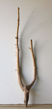 Treibholz Schwemmholz  Driftwood 1 Astgabel  Dekoration Terrarium  Ostern 86  cm  (Ä1702)