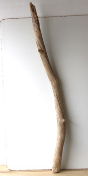 Treibholz Schwemmholz Driftwood  1 MEGA  Ast  164  cm  Dekoration Garderobe (Ä1483)