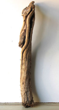 Treibholz Schwemmholz Driftwood 1  Stamm  Dekoration Garten Terrarium 95 cm  (ST504)