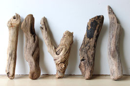 Treibholz Schwemmholz Driftwood 5 Hölzer Dekoration Garten Terrarium  29 cm - 35 cm **93** (TR1133)