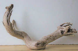 Treibholz Schwemmholz Driftwood  1 XXL  Wurzel 42 cm  hoch (W389)