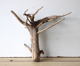 Treibholz Schwemmholz Driftwood  1 Wurzel  Dekoration Terrarium  26 cm (SA621)