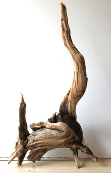 Treibholz Schwemmholz Driftwood 1 XXL Wurzel  Dekoration Terrarium 80 cm hoch  (W626)