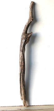 Treibholz Schwemmholz Driftwood  1 XL Ast   Garderobe Dekoration Garten 100 cm  (Ä1685)