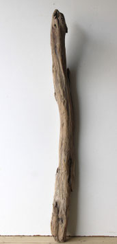 Treibholz Schwemmholz Driftwood  1 XL Ast Dekoration Garten Terrarium 89 cm (Ä1670)