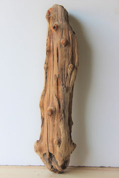 Treibholz Schwemmholz Driftwood  1 XXL Stamm 83 cm (ST378)