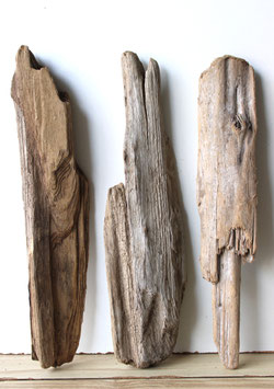 Treibholz Schwemmholz Driftwood  3 XL  Hölzer Dekoration Garten Terrarium 49-51 cm **E61** (TR1212)