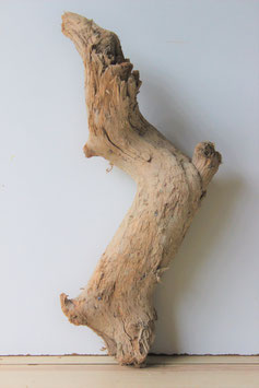 Treibolz Schwemmholz Driftwood  1 knorrige  Skulptur   46 cm     (SA429)
