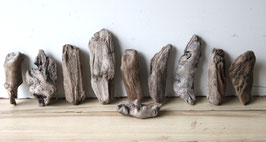 Treibholz Schwemmholz Driftwood 10 kleine  Hölzer Dekoration Terrarium Ostern 13 cm - 22 cm  **35**(TR1254)