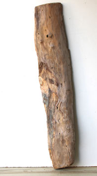 Treibholz Schwemmholz Driftwood 1  XXL Skulptur  Dekoration Garten Terrarium 103 cm (XXL310)