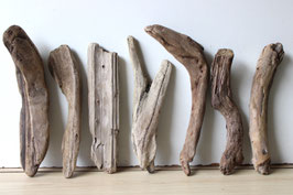 Treibholz Schwemmholz Driftwood 7 Hölzer Dekoration Terrarium  29 cm - 35 cm  **67**(TR896)