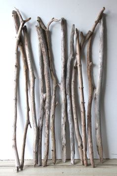 Treibholz Schwemmholz Driftwood  12 XL    Äste  Dekoration Garten Terrarium 90 cm - 101 cm (Ä1676)