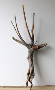 Treibholz Schwemmholz Driftwood  1 XL  Wurzel Dekoration Garten Terrarium 80 cm hoch (W648)