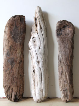 Treibholz Schwemmholz Driftwood  3 knorrige Hölzer Dekoration Garten Terrarium 39 cm - 45 cm **E38** (TR1276)