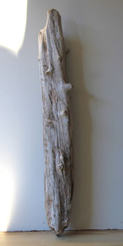 Treibholz Schwemmholz Driftwood 1 XXL Stamm  Dekoration Terrarium  Regal  Garderobe  100  cm (SA933)