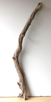 Treibholz Schwemmholz Driftwood 1 MEGA Ast Garderobe Dekoration 127 cm (Ä1503)