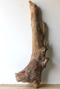 Treibholz Schwemmholz Driftwood 1  MEGA  Skulptur  Dekoration Garten Terrarium 100  cm (XXL316)
