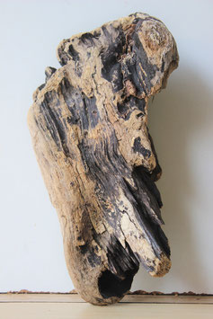 Treibholz Schwemmholz Driftwood  1  Skulptur   24 cm  (S318)
