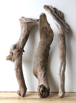 Treibholz Schwemmholz Driftwood 3 XL Hölzer Dekoration Garten Terrarium Ostern 46 cm - 54 cm  **E56**(TR1245)