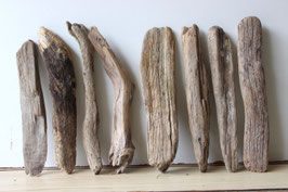 Treibholz Schwemmholz Driftwood  8 Hölzer  Dekoration Garten Terrarium 38 cm - 40 cm  **E57** (TR924)