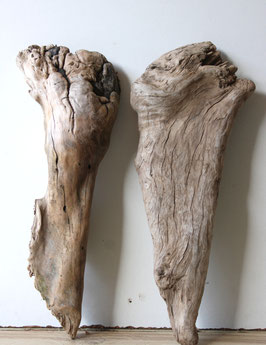 Treibholz Schwemmholz Driftwood  2 knorrige   Hölzer Dekoration Garten Terrarium 38 cm - 39 cm **E51** (TR1278)