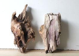 Treibholz Schwemmholz Driftwood 2 knorrige Hölzer Dekoration Garten Terrarium  27 cm - 33 cm  **E9** (TR1323)