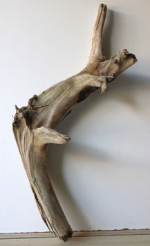 Treibholz Schwemmholz Driftwood  1 XXL  Wurzel Dekoration Garten Terrarium  91  cm lang (W637)