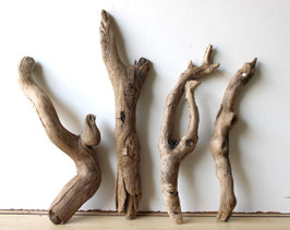 Treibholz Schwemmholz Driftwood 4  Hölzer Dekoration Garten Terrarium   33 cm - 43 cm **E184** (TR1086)