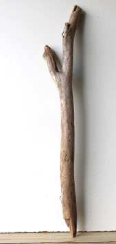 Treibholz Schwemmholz Driftwood 1 Ast  Dekoartion Garten 72 cm (SA865)