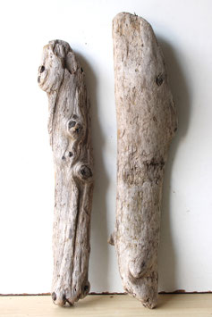 Treibholz Schwemmholz Driftwood  2 XL  Hölzer Terrarium  Dekoration Garten   58  cm - 64  cm    (TR970)