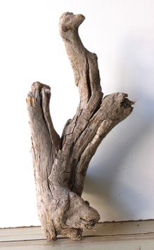Treibholz Schwemmholz Driftwood 1 knorrige  Wurzel Garten Terrarium 45  cm lang   (W679)