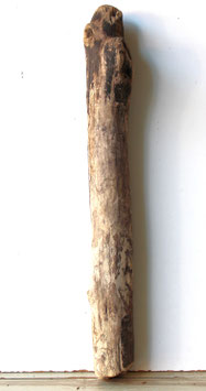 Treibholz Schwemmholz Driftwood 1  Stamm  Dekoration Garten Terrarium 70 cm  (ST499)