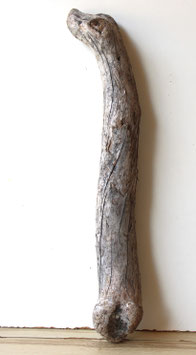 Treibholz Schwemmholz Driftwood 1  Stamm Dekoration Garten Terrarium 61 cm (ST478)