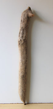 Treibholz Schwemmholz Driftwood  1 XL   Stamm 92 cm (ST421)