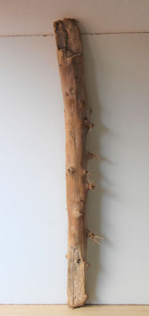 Treibholz Schwemmholz Driftwood  1 MEGA  Stamm 158 cm (ST416)