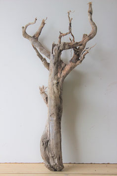 Treibholz Schwemmholz Driftwood  1 XXL   Wurzel  84  cm hoch  (W398)