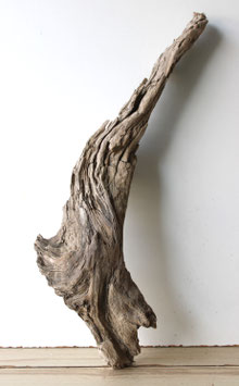 Treibholz Schwemmholz Driftwood 1 XL Wurzel   Dekoartion Garten 60 cm (SA867)