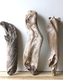 Treibholz Schwemmholz Driftwood 3 knorrige  Hölzer Dekoration Terrarium Ostern 37 cm - 45 cm  **E195**(TR1248)