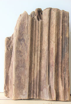 Treibholz Schwemmholz Driftwood  1 XL Rarität  40 cm (R316)