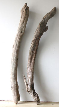 Treibholz Schwemmholz Driftwood 2 XXL Hölzer Dekoration Garten Terrarium 103 cm - 106 cm  (TR1307)