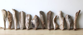 Treibholz Schwemmholz Driftwood  12 kleine   Hölzer Dekoration Garten Terrarium 16 cm - 22 cm  **44** (TR1287)