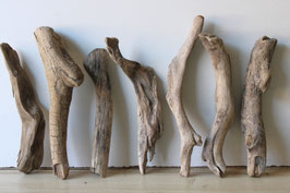 Treibholz Schwemmholz Driftwood  7  Hölzer  Dekoration Garten Terrarium  30 cm - 38 cm  *69* (TR1298)