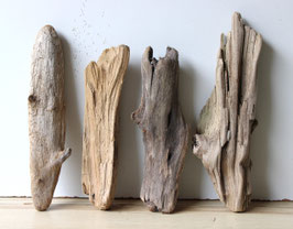 Treibholz Schwemmholz Driftwood 4 knorrige  Hölzer  Dekoration Garten Garderobe 30 cm - 36 cm  **42** (TR1148)