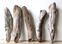 Treibholz Schwemmholz Driftwood  5 Treibhölzer Terrarium Garten  30 cm - 37 cm lang **E182** (TR1186)