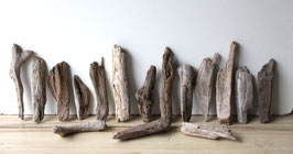 Treibholz Schwemmholz Driftwood  16  Hölzer Dekoration Garten Terrarium  14-23 cm **11** (TR1165)