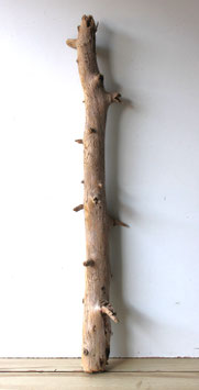 Treibholz Schwemmholz Driftwood  1 XXL Stamm Dekoration Garten Terrarium Ostern Lampenbau 120 cm (ST512)
